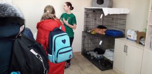 Gyvūnų gerovė rūpi ne tik pavieniams asmenims Gyvūnų gerovė rūpi ne tik pavieniams asmenims