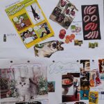 IMG_20231020_153312_ok