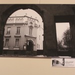 optimized-img_4711