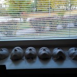 optimized-img_20161019_170818