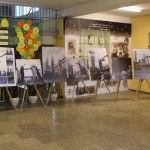 optimized-img_4827-1