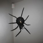 optimized-img_4955