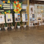 optimized-img_4996