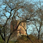 Optimized-IMG_4486