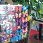 20170502_090959-Optimized