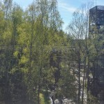 Optimized-20170512_153741_HDR