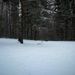 IMG_20171222_110524