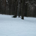 IMG_20171222_110534