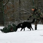 IMG_20171222_110552