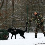 IMG_20171222_110559
