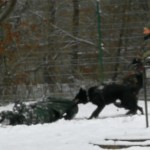 IMG_20171222_110612