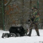 IMG_20171222_110615