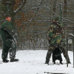 IMG_20171222_110658