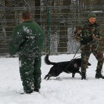 IMG_20171222_110716