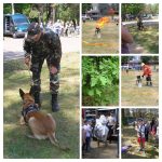 P1010178-COLLAGE