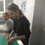 IMG_20181210_145151