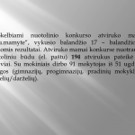Skaidrė2
