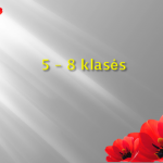 Skaidrė3