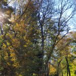 5b 20201101_112406
