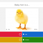 chicken