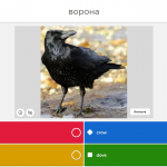 crow
