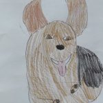 foto6