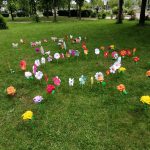 IMG_20210601_135453