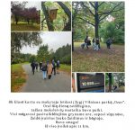 7 IMG-3705