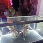 IMG_1457