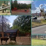 stovykla zoologijos sodas kaune 06-13